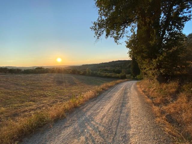 La Magnolia Bed and Breakfast Greve in Chianti Buitenkant foto